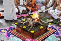 Chathurthi-2023-8