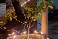 257488987_1533870090304843_76663857659942862_n